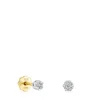 Brincos TOUS Diamonds em ouro