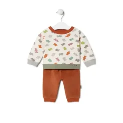 Conjunto de menino Ursos multicolor Grey cor crua