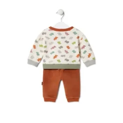 Conjunto de menino Ursos multicolor Grey cor crua